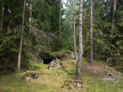 tl407